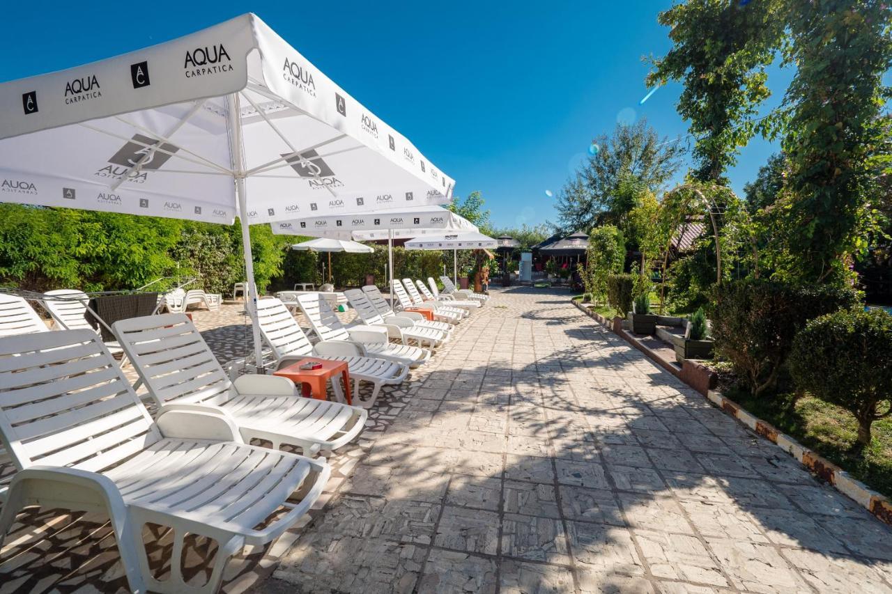 Pension Motanul Galanton Snagov Εξωτερικό φωτογραφία