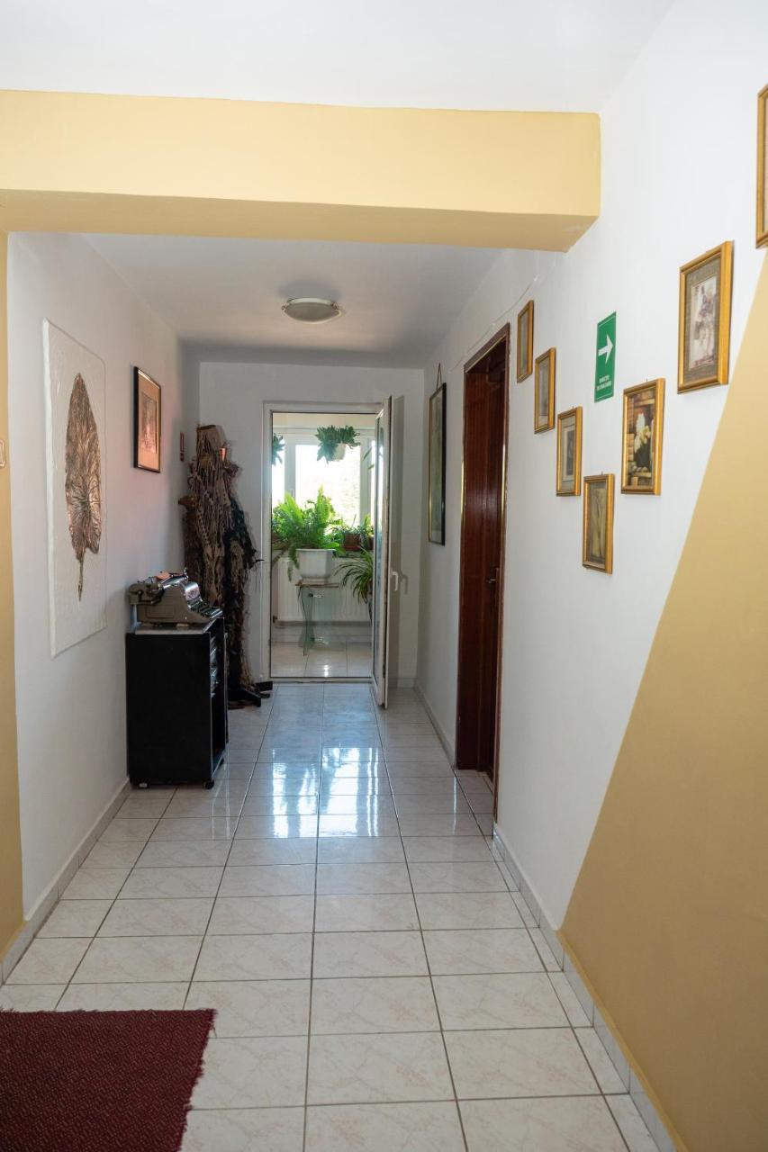 Pension Motanul Galanton Snagov Εξωτερικό φωτογραφία